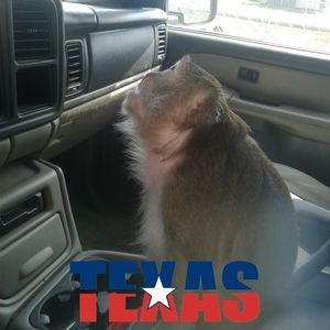 Meet your Posher, Rodney